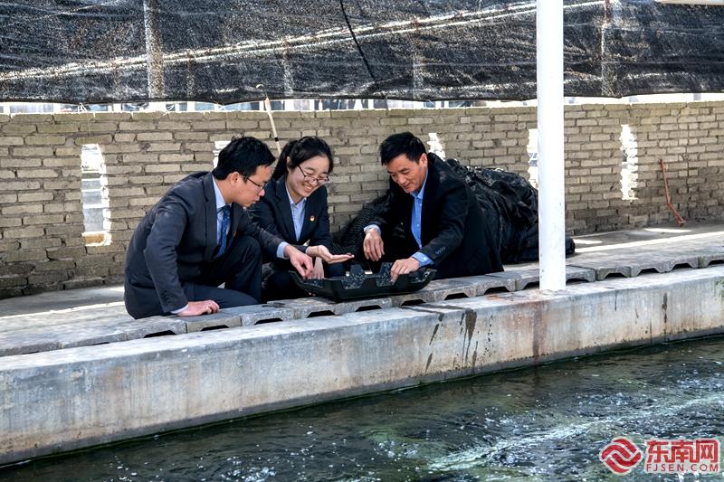 金融活水润泽美丽乡村焕发新活力,金融活水促县域经济回暖向好