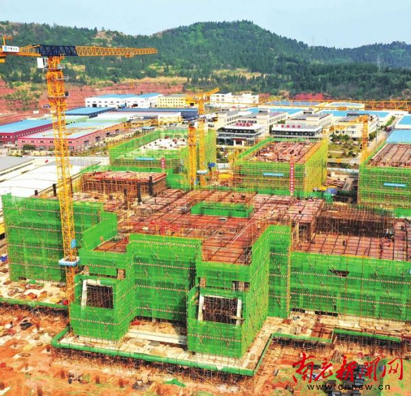 打造创新创业集聚区,金山区打造创新创业承载地