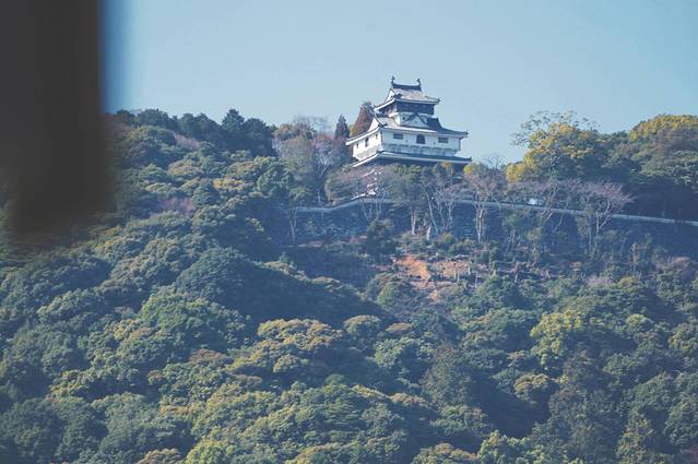 日本山口县十大旅游景点,日本山口风景区有哪些景点