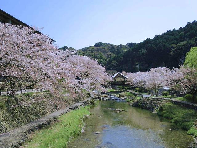日本山口县十大旅游景点,日本山口风景区有哪些景点