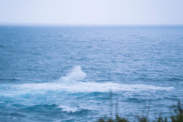 日本山口县十大旅游景点,日本山口风景区有哪些景点