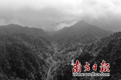 南岭有几个博物馆,南岭古城文化博物馆