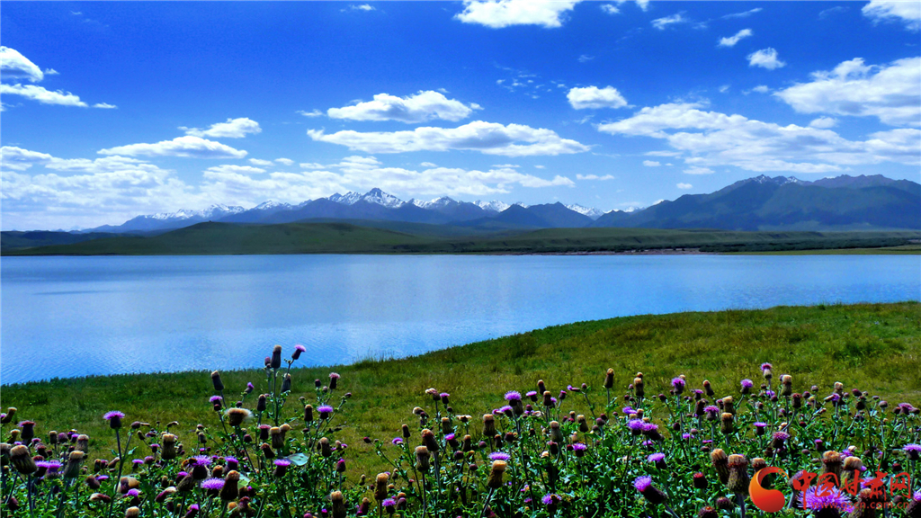 甘肃和政文旅融合共创5a级景区,甘肃文旅环西部游