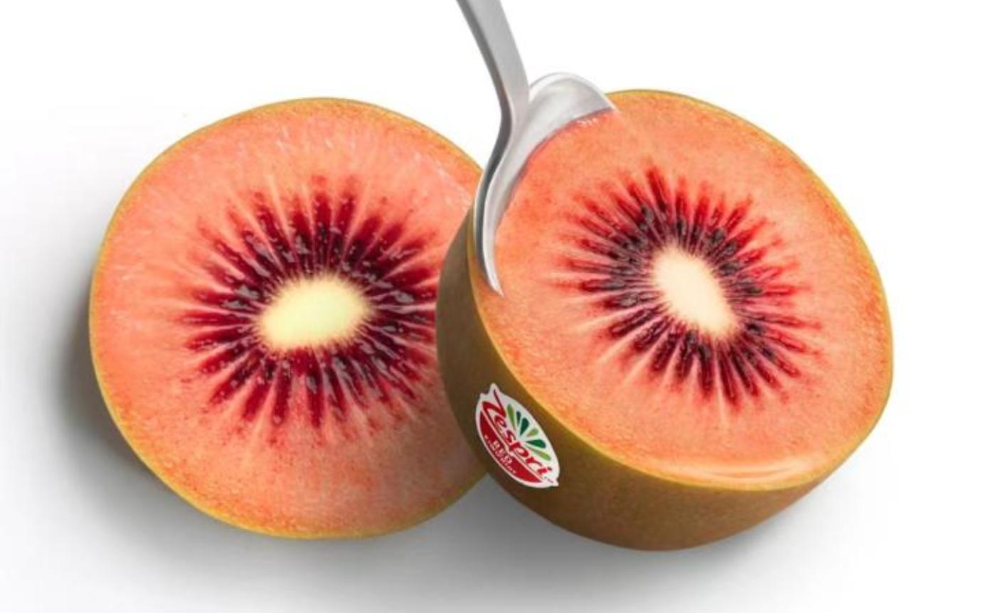 鏂拌タ鍏拌繘鍙ｇ寱鐚存,鏂拌タ鍏板師瑁呰繘鍙ｇ寱鐚存