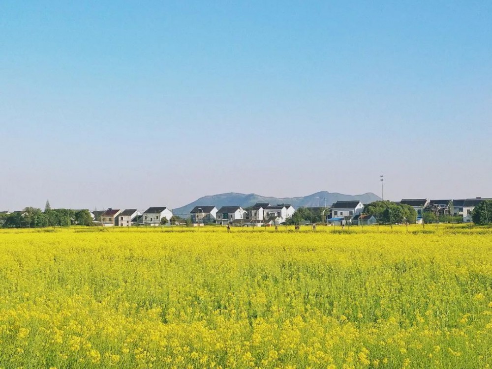 苏州十大打卡点,苏州一定要去打卡的地方