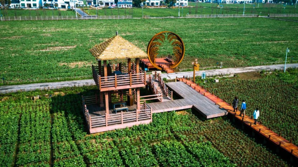 苏州十大打卡点,苏州一定要去打卡的地方