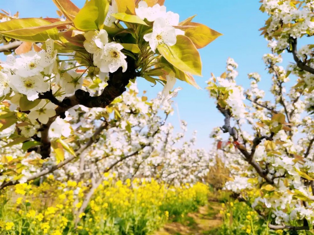 苏州十大打卡点,苏州一定要去打卡的地方