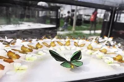 春游江淮请您来广德,亲子游到瓜牛