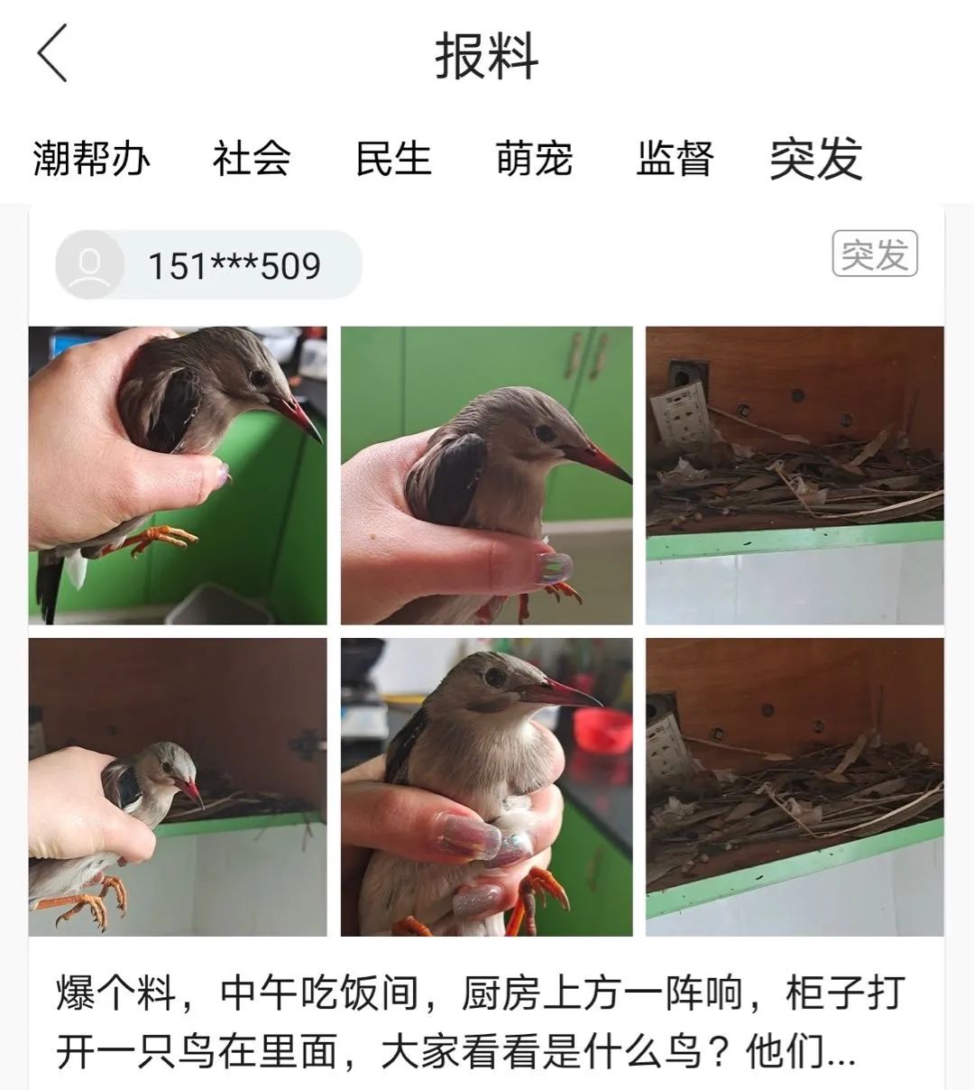 濂冲瓙瀹朵腑鎯婄幇绁炵鐢熺墿,濂冲瓙鍙戠幇鏌滃瓙閲屾湁鎬０