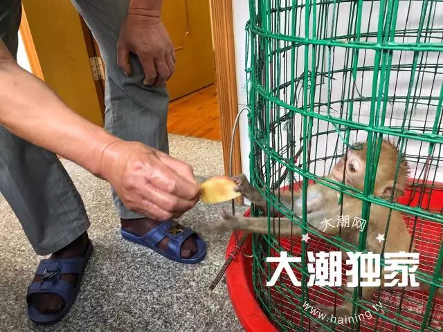 濂冲瓙瀹朵腑鎯婄幇绁炵鐢熺墿,濂冲瓙鍙戠幇鏌滃瓙閲屾湁鎬０