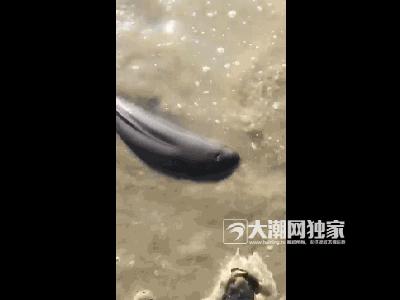 濂冲瓙瀹朵腑鎯婄幇绁炵鐢熺墿,濂冲瓙鍙戠幇鏌滃瓙閲屾湁鎬０