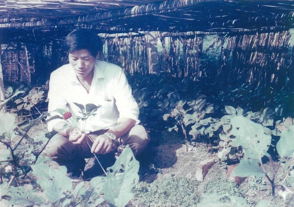 视频｜「典型威海」“参田愚公”牛劲足，40年“种”出致富参都