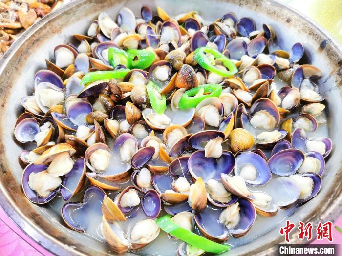 新会石板沙黄沙蚬什么时候最好吃,江门新会黄沙蚬季节