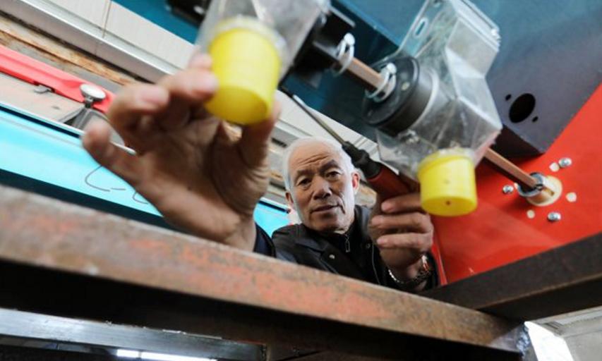 视频｜「典型威海」“参田愚公”牛劲足，40年“种”出致富参都