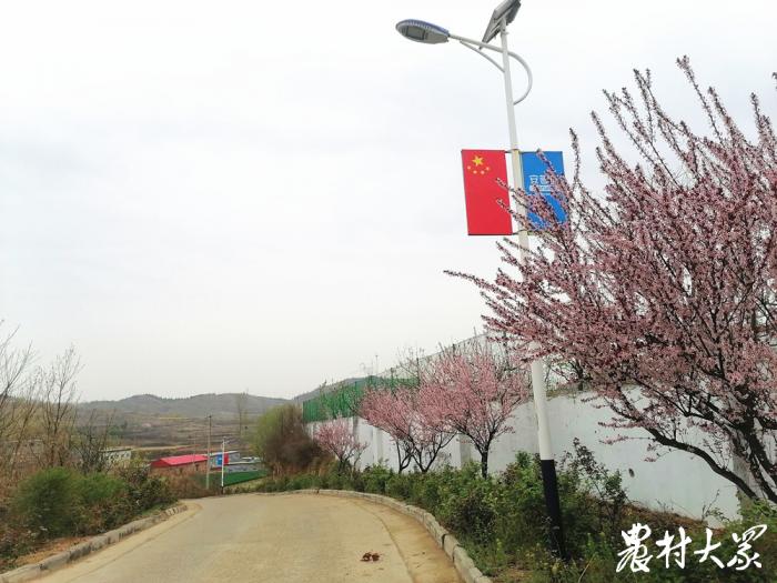 为全面推进乡村振兴提供农村供水,乡村振兴我有话说