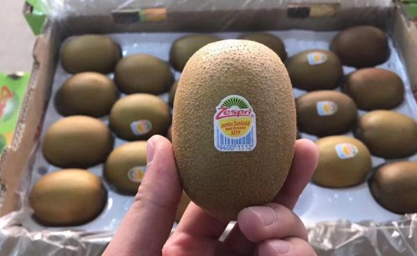 鏂拌タ鍏拌繘鍙ｇ寱鐚存,鏂拌タ鍏板師瑁呰繘鍙ｇ寱鐚存