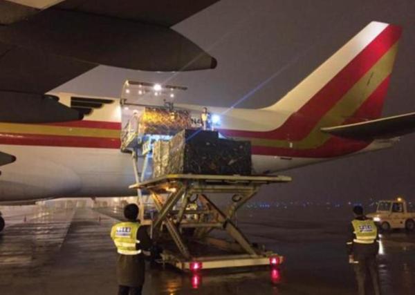 鏂拌タ鍏拌繘鍙ｇ寱鐚存,鏂拌タ鍏板師瑁呰繘鍙ｇ寱鐚存