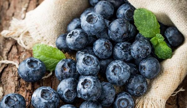 鏂拌タ鍏拌繘鍙ｇ寱鐚存,鏂拌タ鍏板師瑁呰繘鍙ｇ寱鐚存