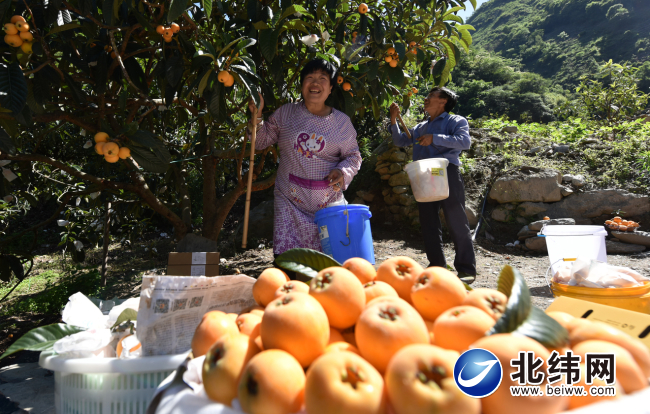构建现代产业体系再造发展新动能,构建现代化产业体系新发展格局