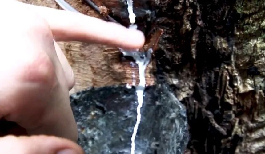 轰趴运动潮玩,轰趴和sneakers