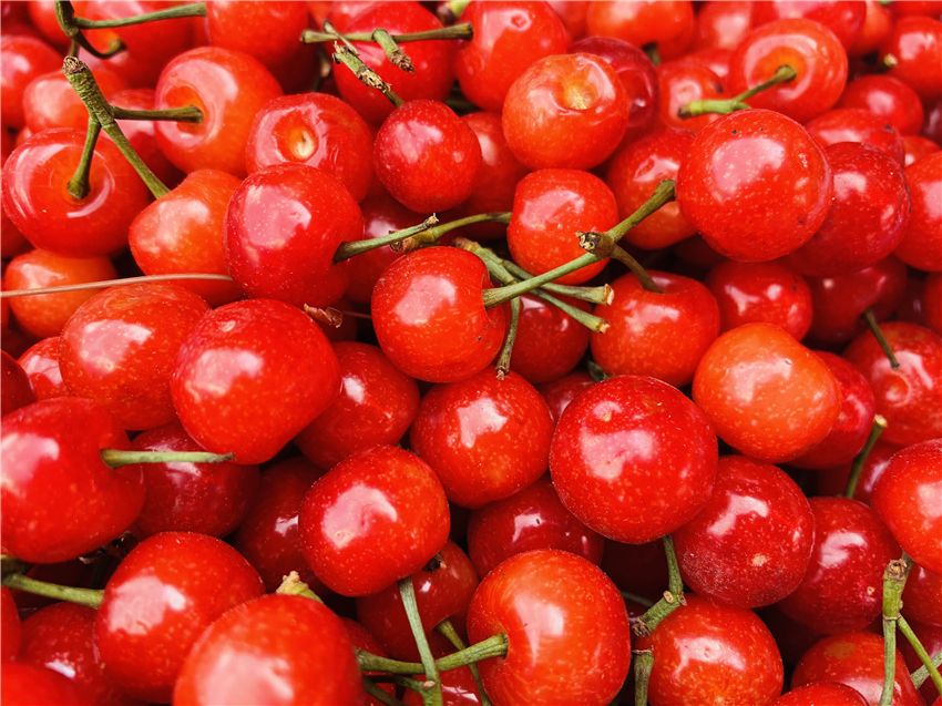 彭州樱桃价格表,丽江樱桃包邮