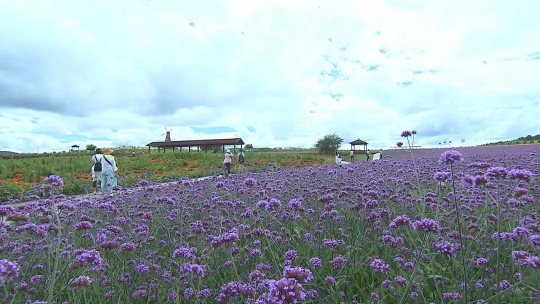 敦化乡村旅游,敦化小山村风景