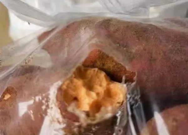 盒马的吐司窜出老鼠？还有人在山姆买到被老鼠咬过的红薯！请认真地看完该如何举证