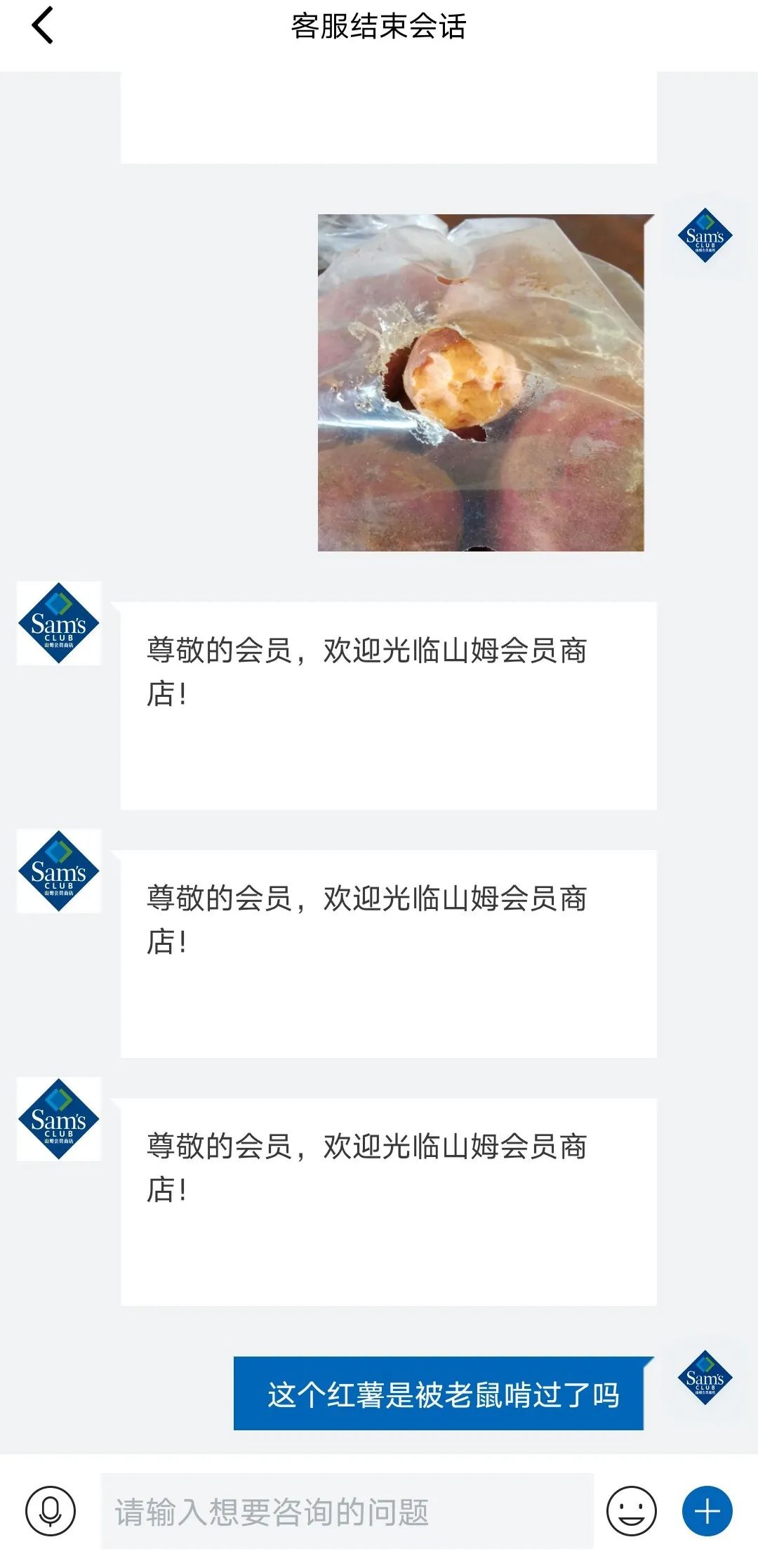 盒马的吐司窜出老鼠？还有人在山姆买到被老鼠咬过的红薯！请认真地看完该如何举证