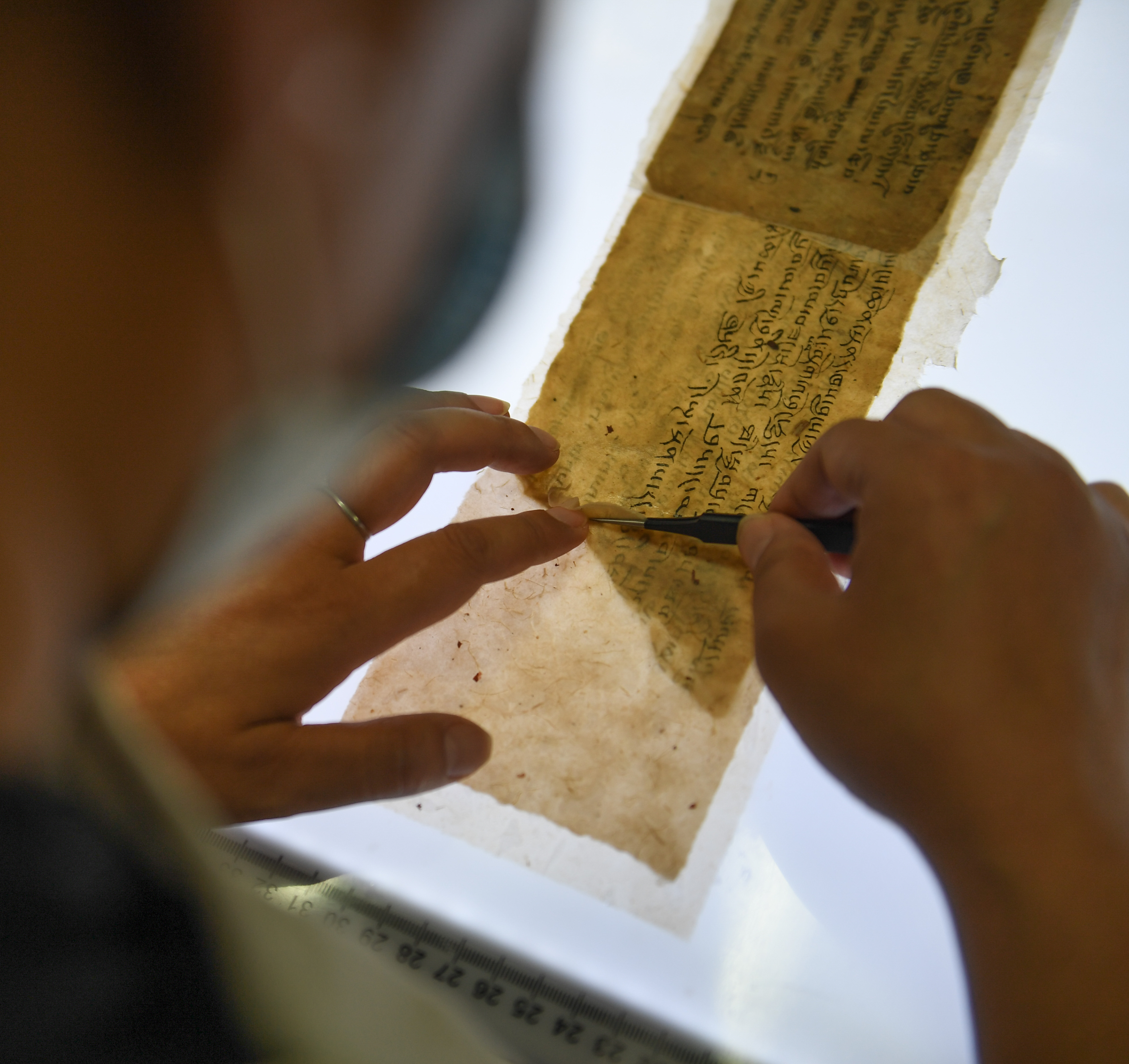 以正确方向推动文化繁荣,协调发展蕴含着丰富的文化