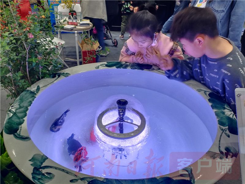 最新宠物博览会,宠物展会2024时间表广州萌宠展