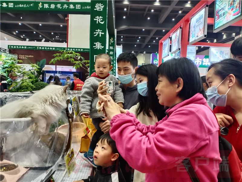 最新宠物博览会,宠物展会2024时间表广州萌宠展