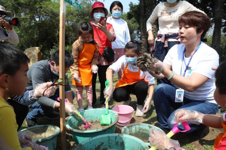 微型碗莲品种种植,微型碗莲成品苗的种植方法