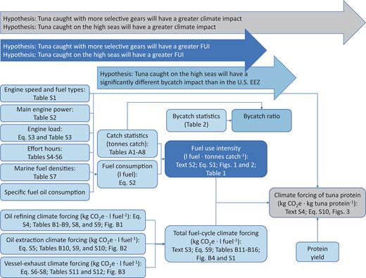 研究探讨海产品的可持续性和气候变化,以了解美国金枪鱼行业的碳足迹