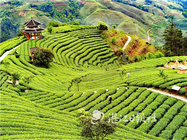 粤桂扶贫协作,粤桂协作谱写扶贫新篇章环江