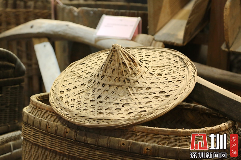 从“鸭屎围”到全国文明社区南岭村正续写“春天的故事”