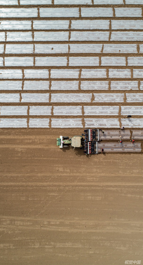 新疆棉花产业发展的意义,新疆棉花亩收入