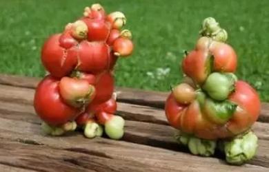 往大海里倒垃圾原图,往大海里倒垃圾犯法吗