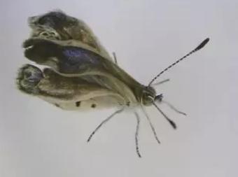 往大海里倒垃圾原图,往大海里倒垃圾犯法吗