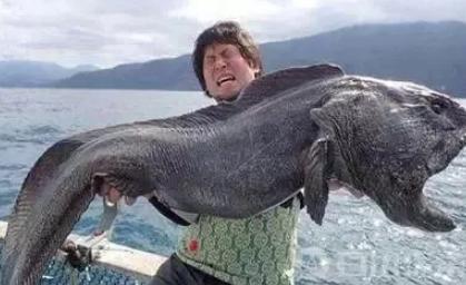 往大海里倒垃圾原图,往大海里倒垃圾犯法吗