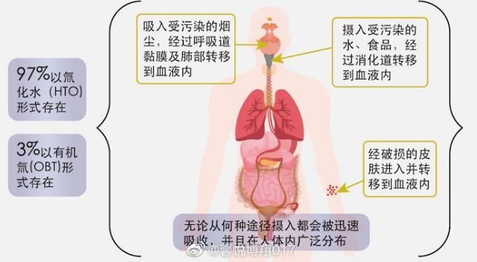 往大海里倒垃圾原图,往大海里倒垃圾犯法吗