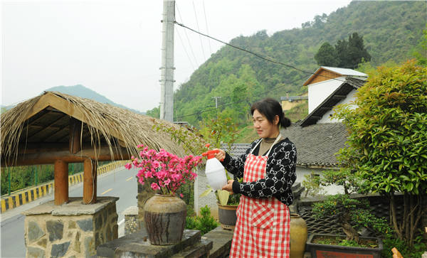 湖北十堰茅箭区：庭院“小美”成就乡村“大美”
