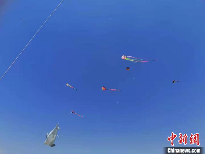 内蒙古大草原放巨型风筝,内蒙古巨型风筝