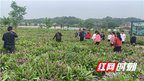 零阳镇教师进修学校：学*党**史践行动开展农民大学生社会实践活动