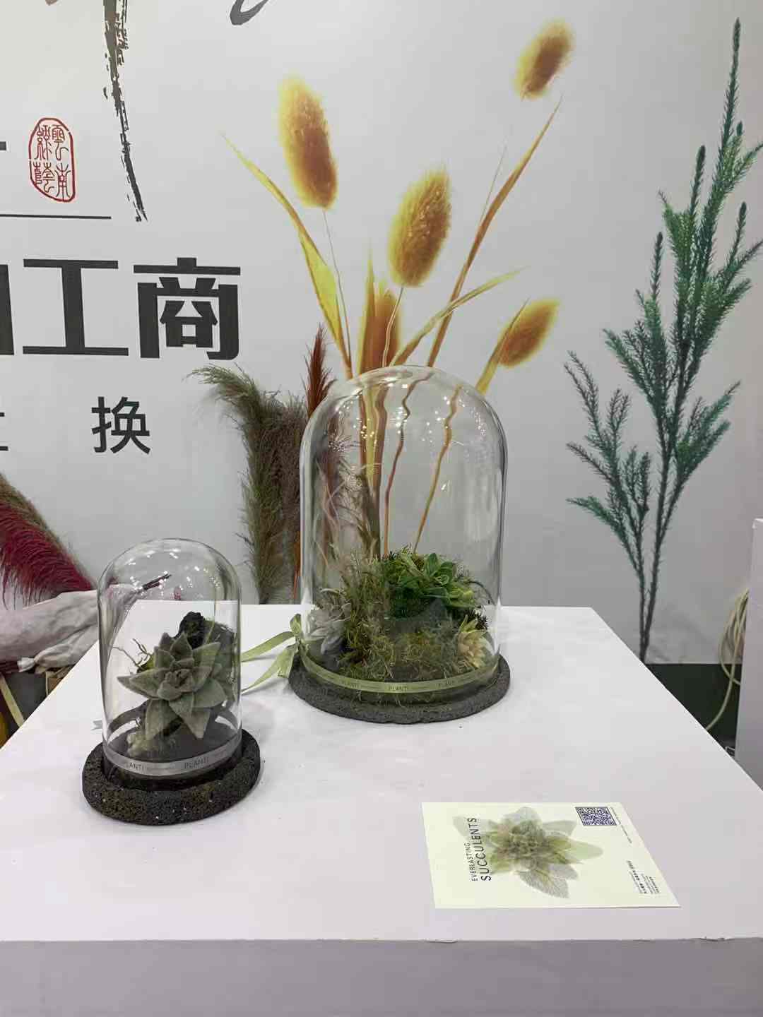 花店的永生花有哪些,花店转型做什么