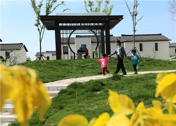 江苏实施乡村振兴战略,沭阳生态经济激活乡村振兴新动能