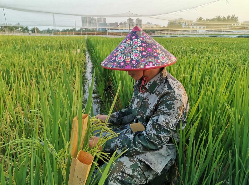 揭开远古四川的神秘面纱,揭开南极的面纱开启不一样的旅行
