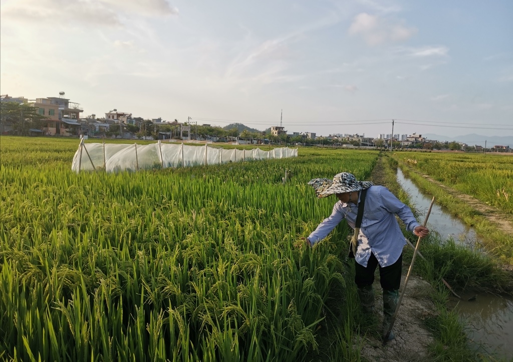 揭开远古四川的神秘面纱,揭开南极的面纱开启不一样的旅行