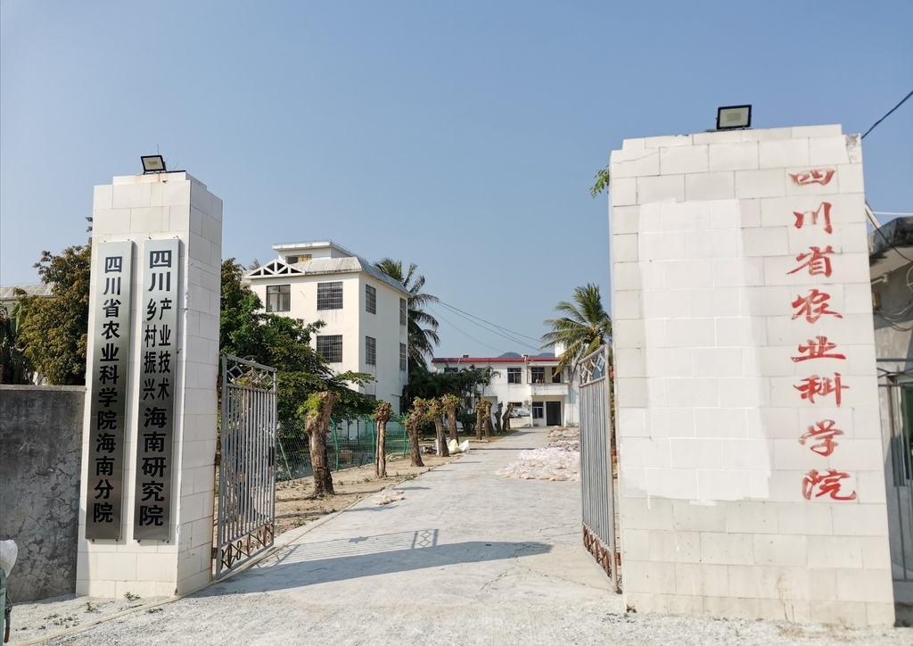 揭开远古四川的神秘面纱,揭开南极的面纱开启不一样的旅行