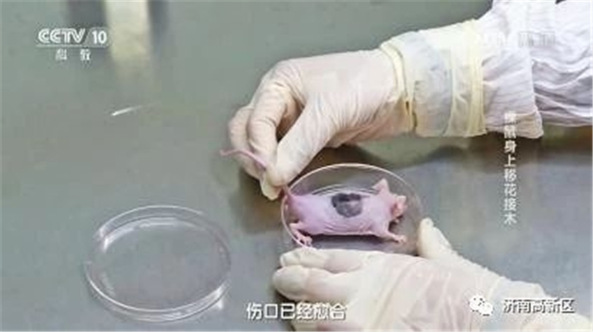 「新高新·新动能」磐升生物国际首创技术泉城精彩绽放
