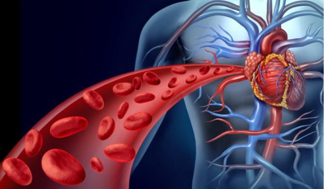 有血管穿行就一定是恶性的吗,有一根血管细会引起什么疾病